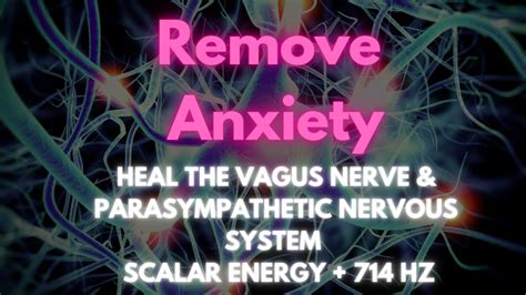 Heal Your Vagus Nerve Parasympathetic Nervous System Music Remove