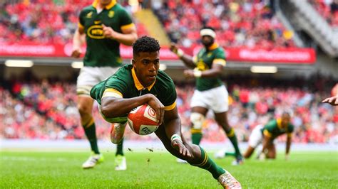 Rugby L Afrique du Sud déroule et s offre le Pays de Galles