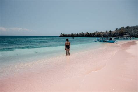 Pink Beach Lombok Complete Beach Guide We Seek Travel Blog