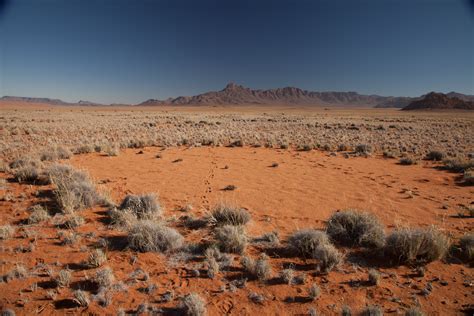 Mysterious Fairy Circles In Namibian Desert Explained At Last New