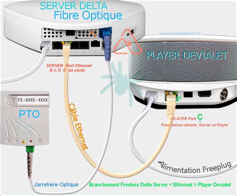 Schemas Raccordement Ethernet Pour Connexion Fibre Optique Freebox