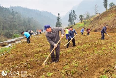 擂響春季攻勢戰鼓 打贏脫貧攻堅硬仗 每日頭條