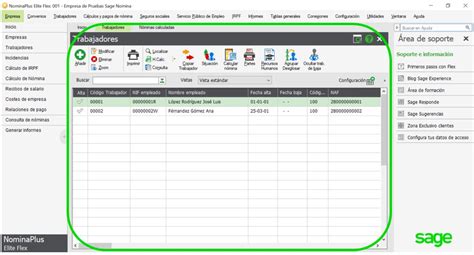 C Mo Ampliar Rea De Trabajo En Nominaplus Flex Sage Recursos T Cnicos