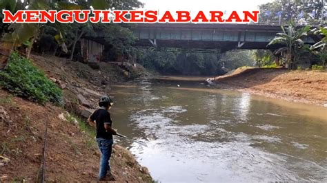 MANCING NILA BERJAM JAM CUMA DAPAT 1 EKOR BAYI NILA Sungaiciliwung