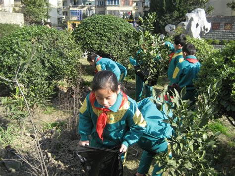 护绿小队在活动 内容 徐浦小学信息网