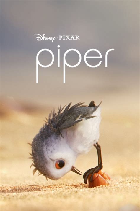 Piper Filme Trivia Filmstarts De