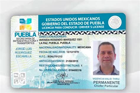 Tipos De Licencia De Conducir