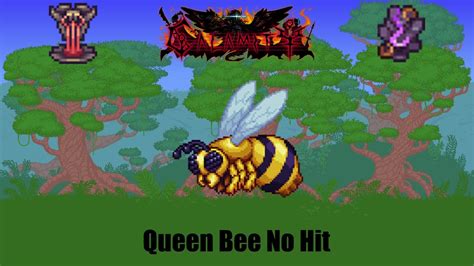 Terraria Queen Bee No Hit Revengeance Armageddon Calamity Mod Youtube