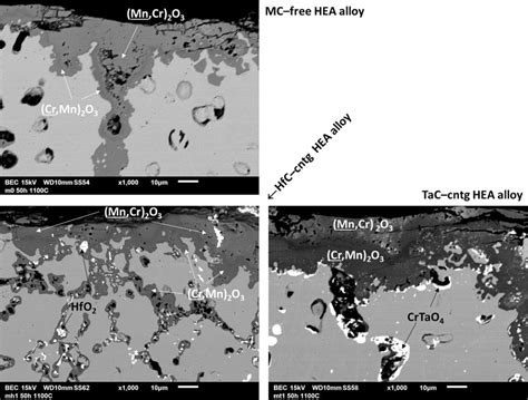 Sem Bse Micrographs Illustrating At High Magnification The Surface And