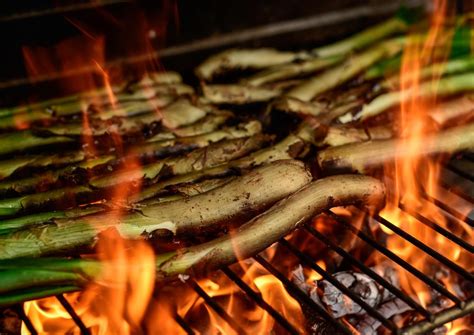 El Mejor Lugar Para Una Cal Otada Can Mauri Tu Restaurante De