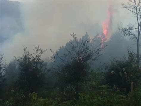 En Tequila Por Tercera Vez Se Reactiva El Incendio