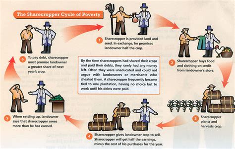 Sharecropping Cycle