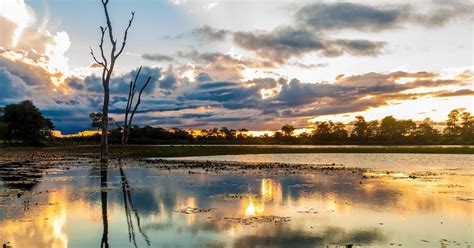 Pantanal Conhecimento Tudo