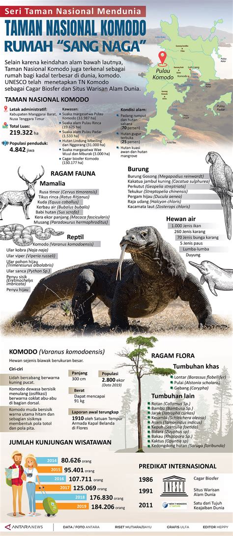 Taman Nasional Komodo Rumah Sang Naga Infografik Antara News