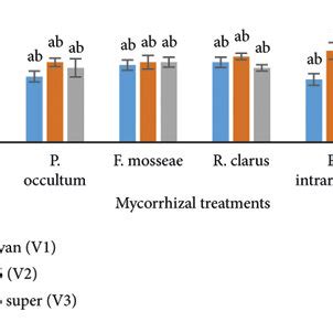 Effect Of AMF On A Number Of Leaves B Length Of Leaves C Leaf