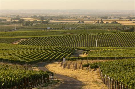 Washington Wine Region Usa Winetourism