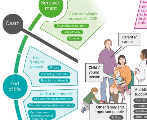 Stages Of Local End Of Life Pathway