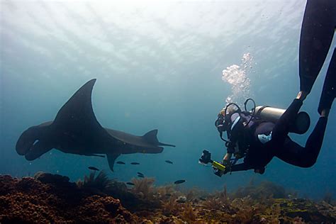 Raja Ampat Scuba Diving West Papua Diving Papua Explorers