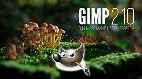 CURSO DE GIMP COMPLETO YouTube