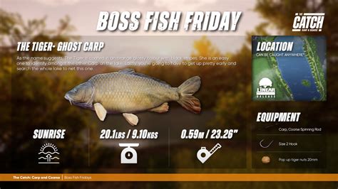 Boss Fish Friday