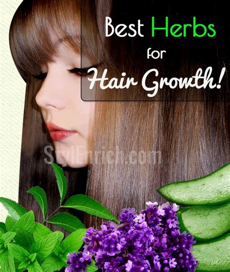 10 Best Herbs And Hair Growth Tips Health Nigeria