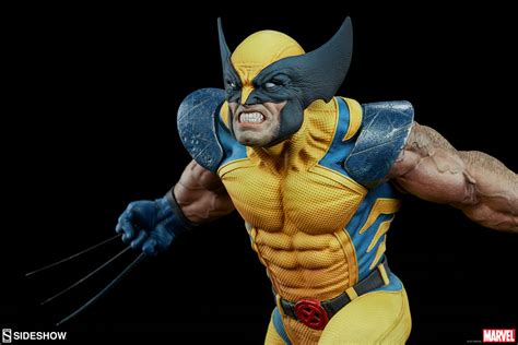 Sideshow Exclusive Wolverine Premium Format Statue Pre-Order! - Marvel ...