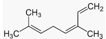 Structure of Myrcene | Download Scientific Diagram