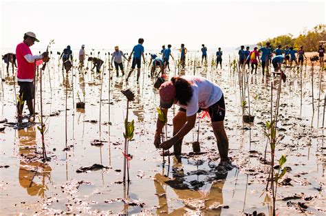 Why our ocean could hold the best solutions to climate change - Flipboard