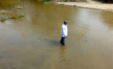 Invemar Se Pronuncia Sobre Mortandad De Peces En La Desembocadura De