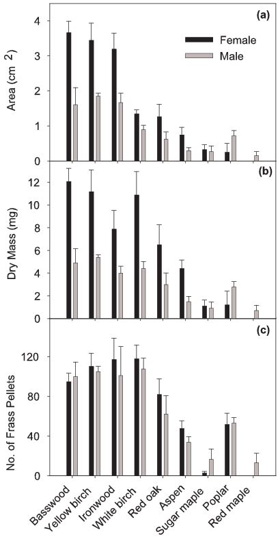 Effects Of P Sericeus Sex And Host Plant Species On A Leaf Area