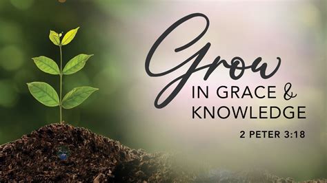 Grow In Grace And Knowledge Power Packed Promises