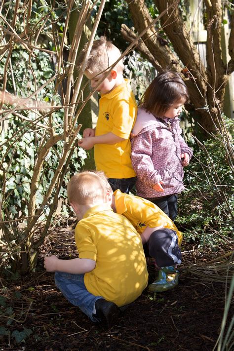 Forest School Woodland Area Blackberry House Day Nursery