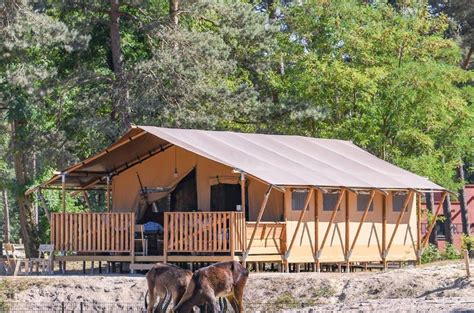 De Mooist Gelegen Safaritenten Van Nederland Origineelovernachten