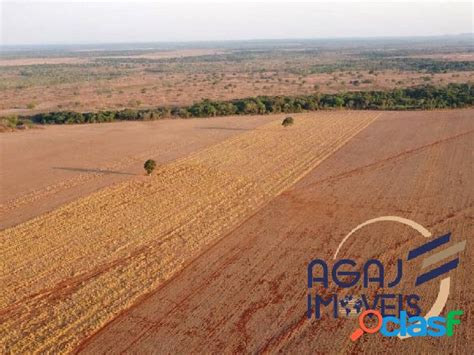 Excelente Fazenda Alqueire Em Santa Rita Do Pardo Ms Em Santa