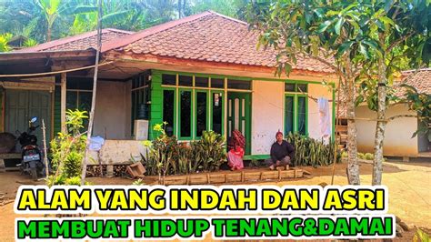 Alam Yang Indah Lingkungannya Bersihmembuat Hidup Di Kampung Ini