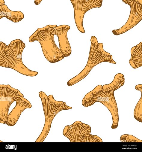 Seamless Pattern With Chanterelle Mushrooms In Retro Engraving Style