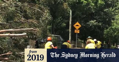 Video Thousands Remain Without Power Days After Sydney Storm