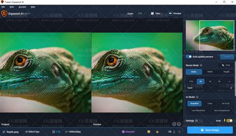 图片无损放大软件 Topaz Gigapixel AI v5 6 0 Win 官网破解版下载 CG资源网