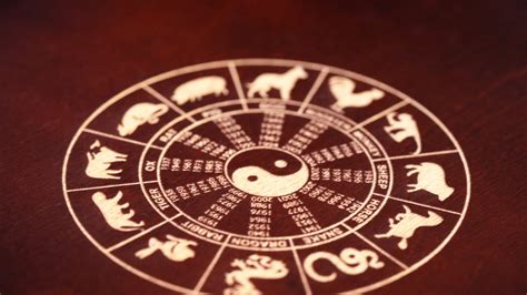 Calculer Son Signe Astrologique Chinois Quel Animal êtes Vous