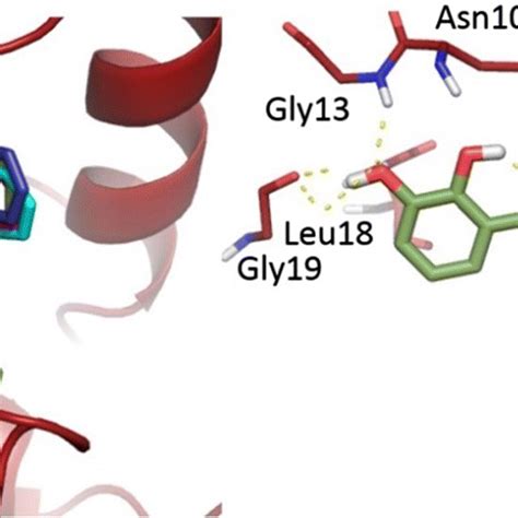 A Shows The Binding Mode Of The Four Most Active Compounds In Pteridine