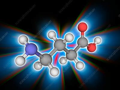 Gamma Aminobutyric Acid GABA Molecule Stock Image F017 0389