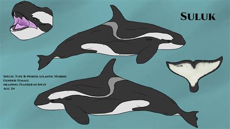 suluk reference   kasatkasdaughter  deviantart