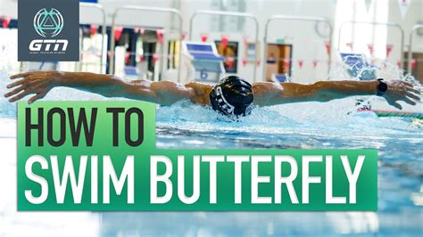 How To Swim Butterfly | Technique For Butterfly Swimming | Swimmer's Daily