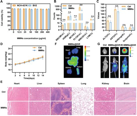 In Vitro Cell Cytotoxicity And In Vivo Distribution Biocompatibility