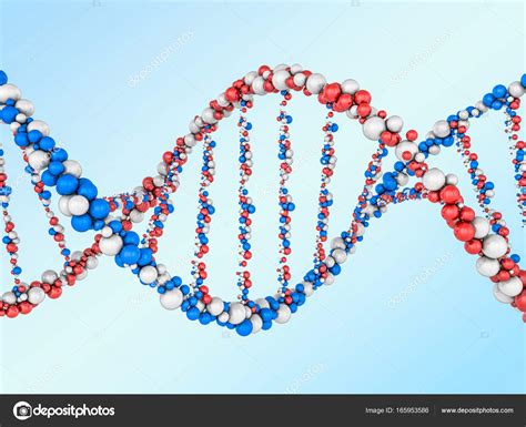 Modelo D Molecula De Adn V Turbosquid Images