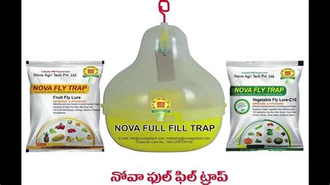 Yellow Pheromone Nova Fruit Fly Trap For Agriculture Packaging Type