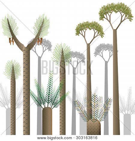 Prehistoric Plants Vector & Photo (Free Trial) | Bigstock