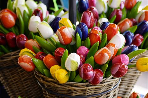 Tulips Basket Colorful - Free photo on Pixabay - Pixabay