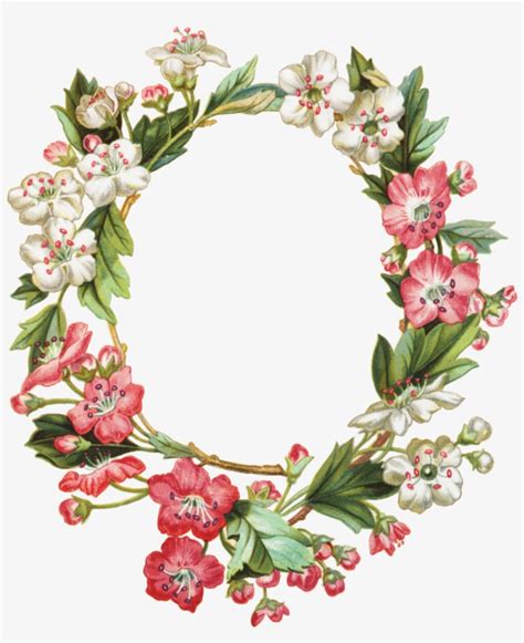 012 Apple Blossom Oval Wreath Graphicsfairy 1 0201 200 Free Photo