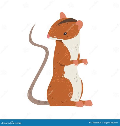 Mouse Standing On Its Hind Legs Full Length Turned Sideways Cartoon